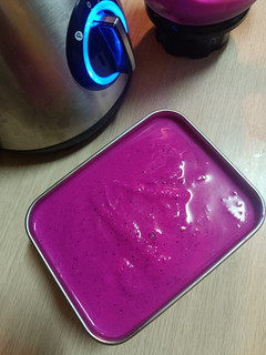 火龍果冰淇淋 的食譜成品照片