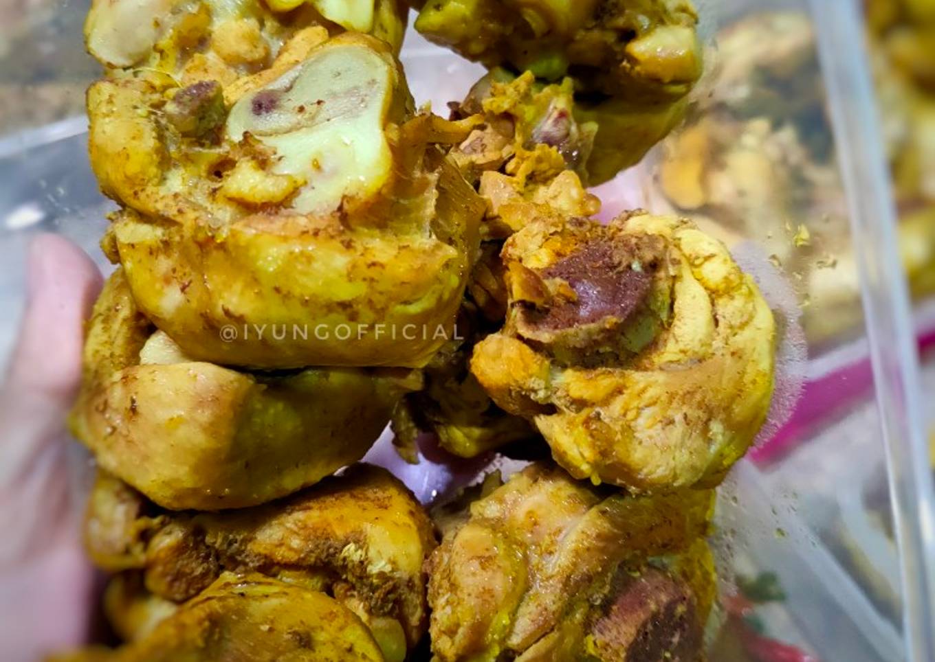 Ayam ungkep (stokan frozenfood)