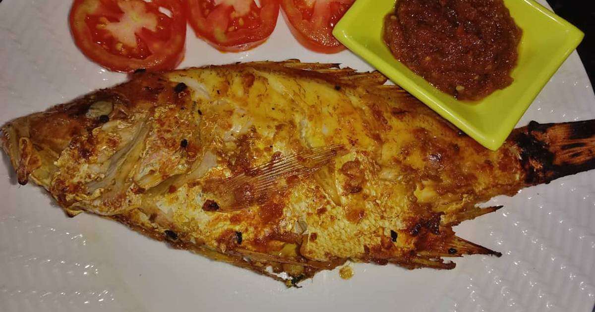 161 Resep Ikan Kakap Merah Bakar Enak Dan Mudah Cookpad