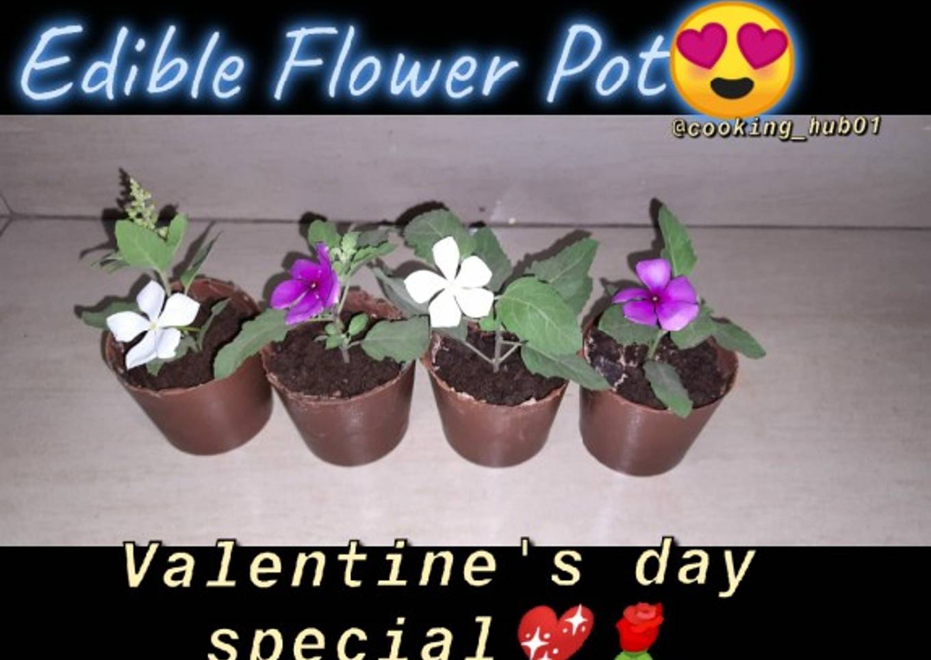 Edible Chocolate Pot Surprise Dessert