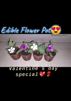 A picture of Edible Chocolate Pot Surprise Dessert.