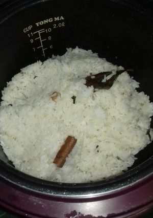 Foto resep Nasi rempah magic com