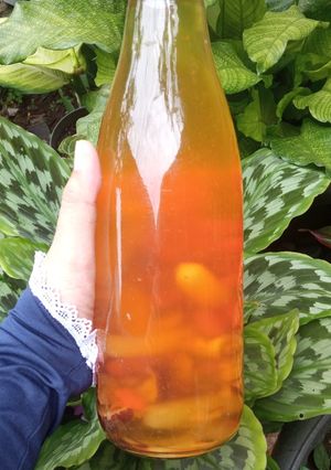 Foto resep Teh Goji Berry