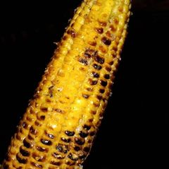A picture of Grilled corn on the cob 🌽🔥.