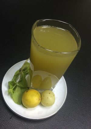 A picture of Minty Gooseberry Health Drink.