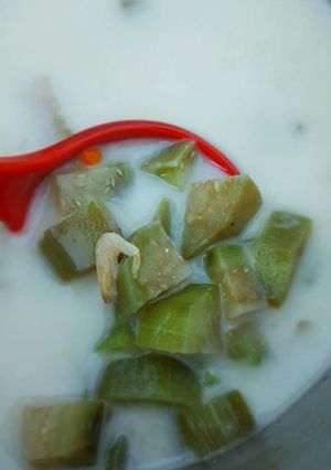 Foto resep Sayur santan terong ala anak kos