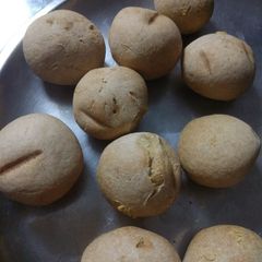 A picture of Litti.