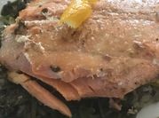 A picture of arugula salmon