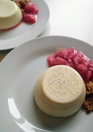 經典義式奶酪 Panna Cotta 的食譜成品照片