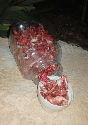 صورة لوصفة البندوة المجففة