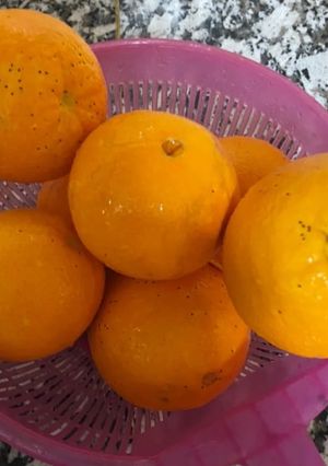 صورة لوصفة مركز البرتقال