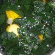 Sayur Bening Katuk&Jagung