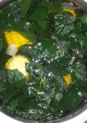 Foto resep Sayur Bening Katuk&Jagung