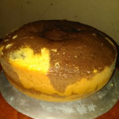 A picture of Zebra cake.