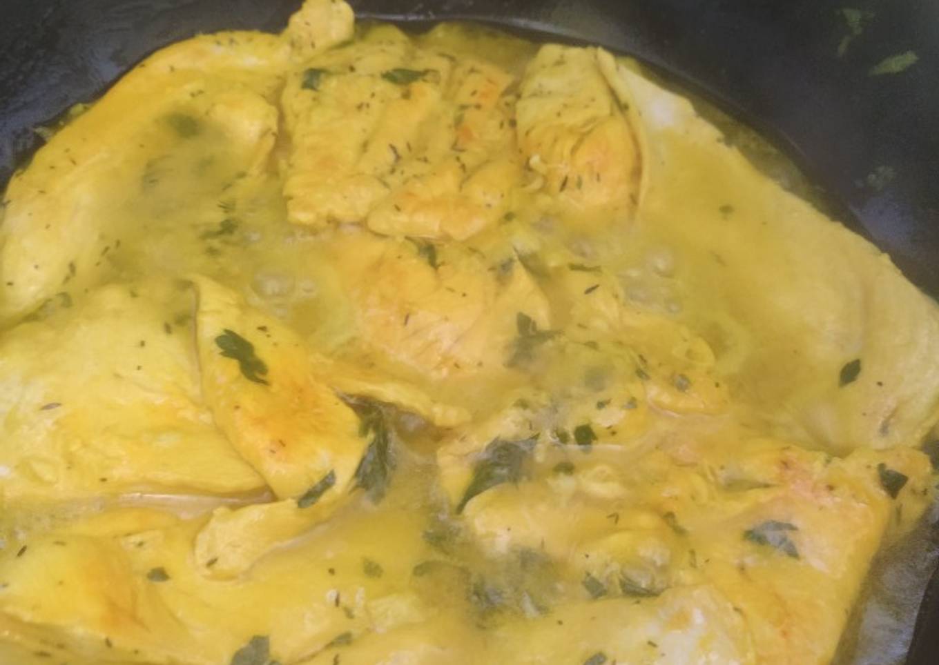 Filetes de pollo 🐤