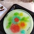 Puding Bunga Metode Suntik
