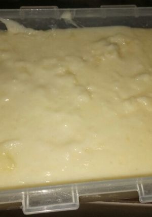 Foto resep Keju mozzarella home made