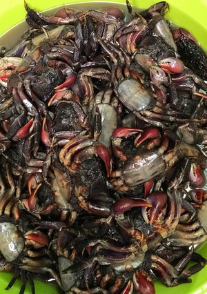 Hình của món Ba khía cà mau trộn.