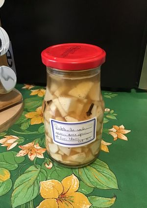 A picture of Spiced Black Radish Pickles with White Wine.