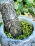 Pesto en mortero 💚