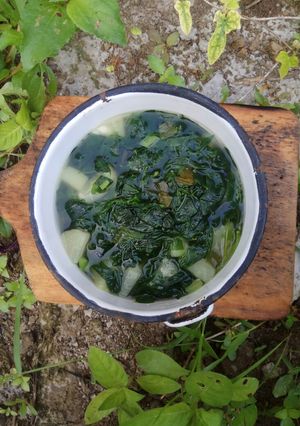 Foto resep Bening katuk pepaya