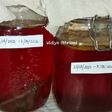 Kombucha Tea
