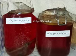 Foto resep Kombucha Tea