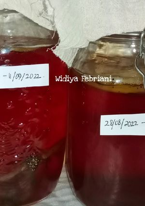 Foto resep Kombucha Tea