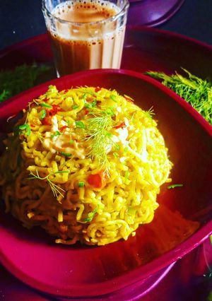 A picture of VegMaggi.