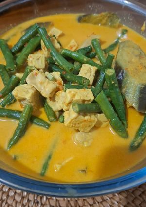 Foto resep Sayur Lodeh Terong Khas Desa