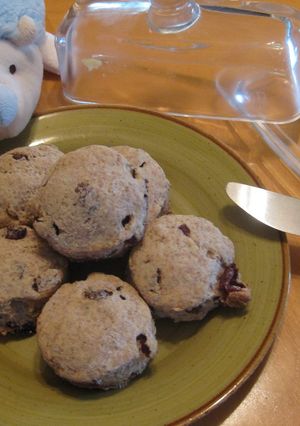 A picture of Raisin Scone.