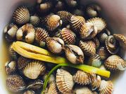 Gambar kerang rebus serai