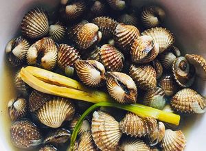 Gambar Kerang Rebus Serai 🐚🌿