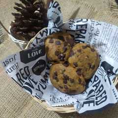 Choco Chip /Raisin oatmeal cookies-レシピのメイン写真