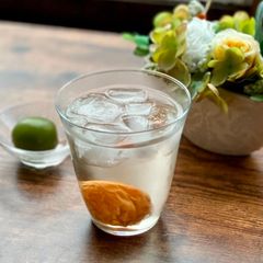 A picture of Japanese Plum Syrup.