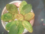 Green peda