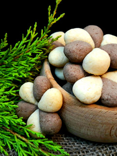 عکسی از دستور بیسکوئیت های بای