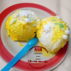 A picture of Simple vanilla ice cream.
