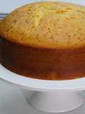 Plain cake (vanilla flavor)