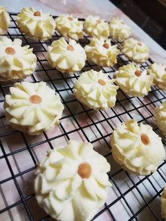 Gambar Semperit Cheese Dahlia