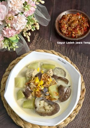 Foto resep Sayur Lodeh Jawa Tengah