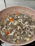 Cumi masak hitam