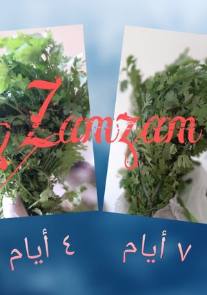 صورة لوصفة حفظ الخضار الورقية طازجة حتي أسبوع كامل 🥬