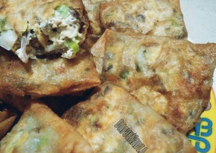 Resep 24. Martabak TTD (Telor Tahu Daging) yang Lezat Sekali