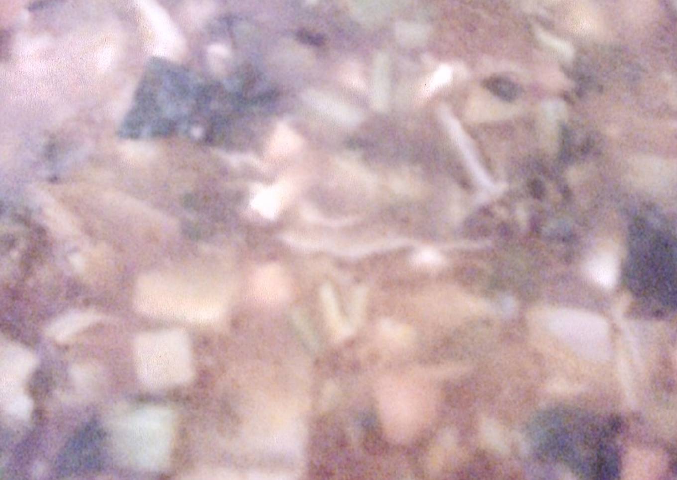 Sopita de Verduras 🍜