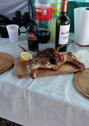Una foto de Pollo a la sal