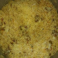 A picture of Mumbai beef biryani.