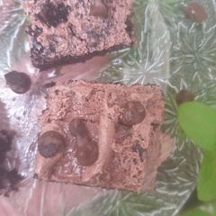 Microwave brownies A picture of Microwave brownies.
