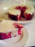 Pink Zebra vs Bavarois