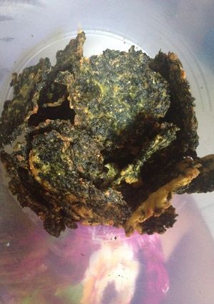 Foto resep Dendeng / kripik daun singkong